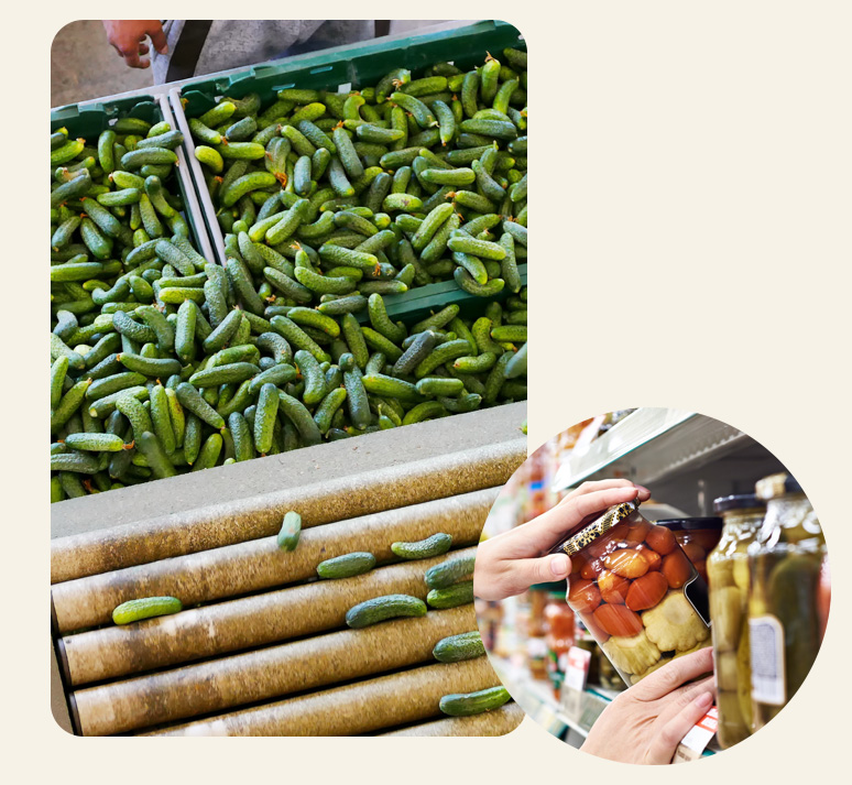 Fresh cucumbers in a market with pickled vegetables showcasing versatile culinary uses.