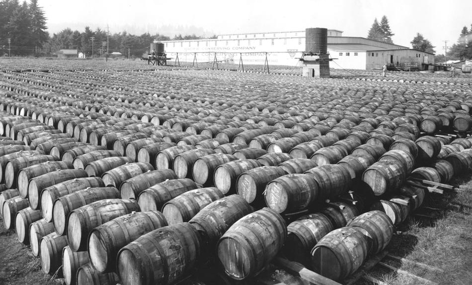 Barrels of pickles, circa 1945